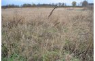 Property photo 12 - 80 Acres & Home - Property Offered in 4 Tracts from 2.3 to 30.0 Acres